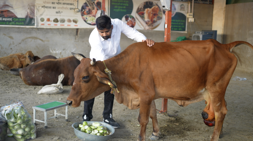 Gauri’s Journey: From Suffering to Strength